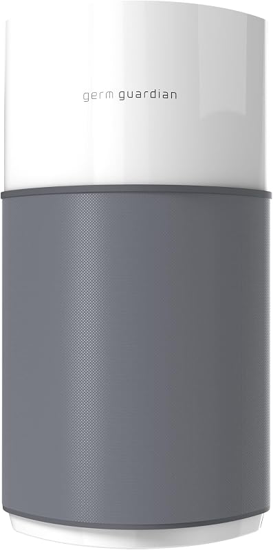 Top Air Purifiers for Pet Dander and Odor