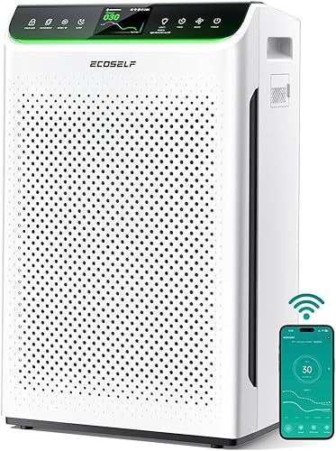 Air Purifier for Home Large Room Up to 3850Ft² with Washable Filter, H — Real-world performance testing in action