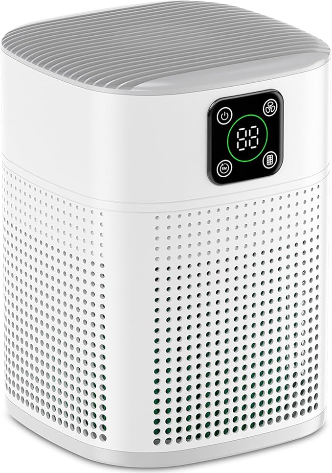 Air Purifiers for Bedroom, Honeyuan H13 HEPA Air Purifier for Home Lar — Real-world performance testing in action