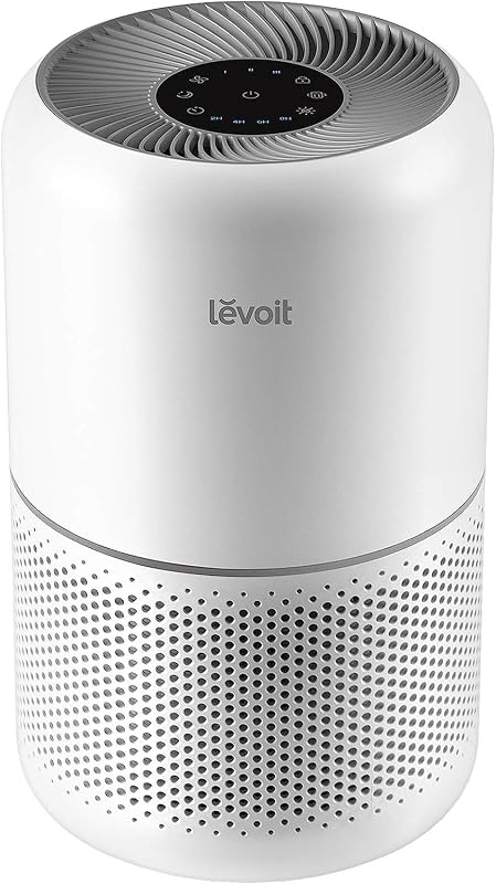 LEVOIT Core 300 Air Purifier Review