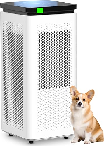 Air Purifiers for Home Large Rooms up to 3500 Ft², H13 True HEPA 0.1 M — Real-world performance testing in action