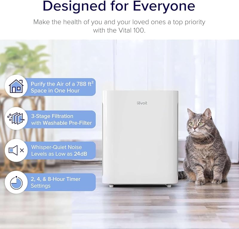 LEVOIT Core 300 Review